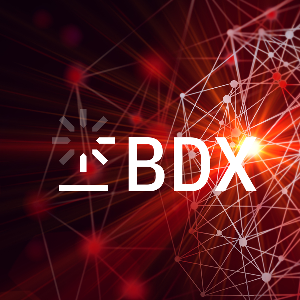 La Business unit BDX - Base Digitale